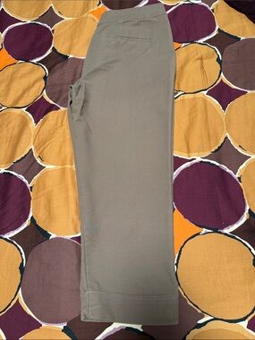 Ann Taylor Curvy Pants in Taupe Brown